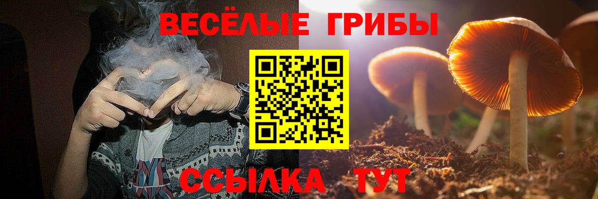 Новоуральск  Галлюциногенные грибы прущие грибы  наркота  Вход с VPN 